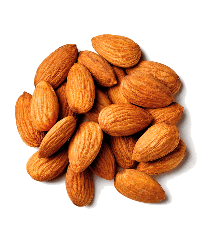 almond or katha badam