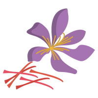 Saffron (জাফরান)